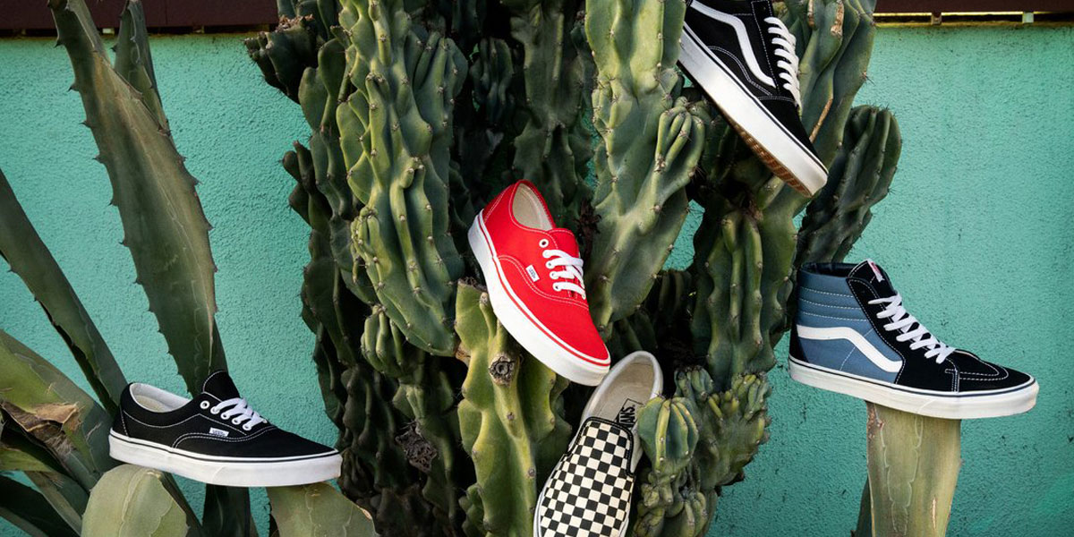 Vans Old-Skool, Slip-On, Sk8-Hi, Authentic and Era shoes hanging from a cactus
